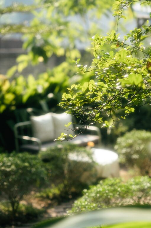 Tips for Creating a Relaxing Outdoor Space in Your Backyard
